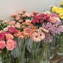 [백석역 꽃집] 가성비 좋은 일산 꽃다발, 니모메플라워