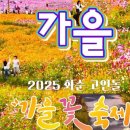 화순고인돌유적지(박씨제각) | 전남 화순 가볼만한곳 2025 화순 고인돌 가을꽃축제 기본정보 일정 입장료 가수 라인업 정엽부터 케이시...