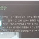 십이동파도·비안도 네이버블로그