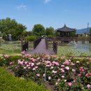 장미공원 이미지