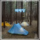 씨유거제동부산양점 | 거제 편백숲 백패킹 선자산 힐링 스팟