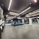 한국체대 복싱 이미지