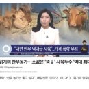 한들한우농장 네이버블로그
