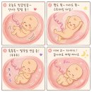 (주)아큐텍파마 | 봄 여름 사이
