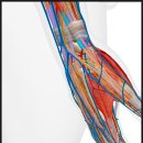 명랑한의원 이미지