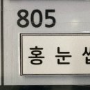아름단아
