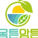 몸튼맘튼