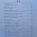 을지로 루프탑 추천 | 분위기 좋은 을지로 술집 어나더레벨 후기