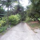 경안 사슴농장 이미지