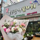 울산꽃집 울산광역꽃도매 : 시청근처 울산꽃다발 화환 예쁜식물이 많은곳