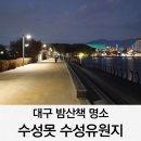 도로변(구로동 481-7) | 대구 밤산책 명소 수성못 주차장 산책후기