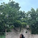 동원대게수산식당 이미지