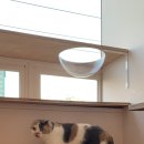 에어묘앤비 이미지