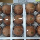 지현농장 이미지