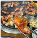 서해쭈꾸미 이미지