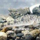 무주읍238 이미지