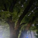 백무 | 백무신당 부천점집 후기, 내년 신년운세·임신운 함께 보고 왔어요