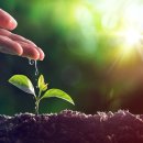 좋은환경 이미지