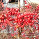 순천 연리지 한옥 이미지