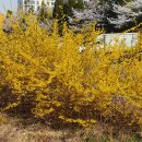 동탄3동 주민센타 이미지