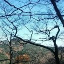 미감
