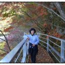 주천강강변자연휴양림 이미지