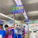 이서회타운 이미지