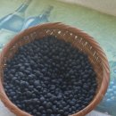 산너머농장 이미지