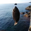 리조트 라페루즈 이미지