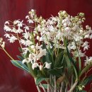 한아름홈쇼핑(주) 이미지