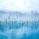 일본 홋카이도(3박 4일) 여행(2026년 2월 24일 ~ 2026년 2월 27일) 취소 이미지