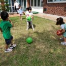 신성 마을회관 이미지