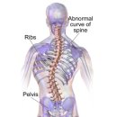 올리브짐 이미지