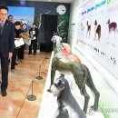 &#34;반려동물과 함께하는 울산 여행 아이디어 주세요&#34; 이미지