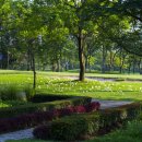 그린헬스크럽 이미지