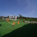 애견 1번지 이미지