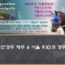 늘새찬