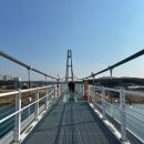 남한강 자전거도로 | 여주 가볼만한곳 🚲자전거 여행 + 출렁다리 힐링 코스 추천!