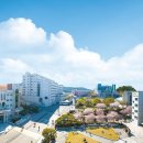 대구과학대학교 이미지