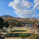 시고르까사 이미지