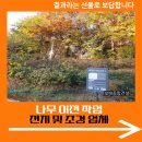 안성조경건설(주) | 나무 이전 작업 전지 및 조경 업체