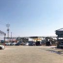 박여사네 세차하러가는날 이미지