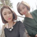 이든 연합의원 이미지