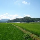 상동 태양광발전소 이미지