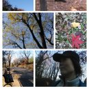 수정구청소년수련관 이미지