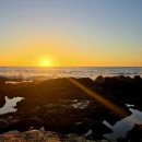 빛나는 파도의 춤 빛 이미지