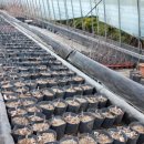 귀거래가든 이미지