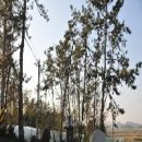 삼일민족대표 양한묵 이미지