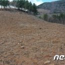 수림자원 이미지