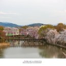 창녕 영산 만년교 이미지